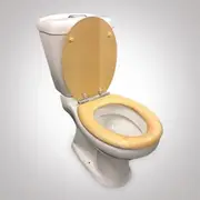 ECO Timber Veneer Natural Oak Toilet Seat
