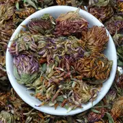 Red Clover Tea