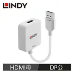 LINDY林帝 HDMI2.0 TO DISPLAYPORT1.2 4K60HZ轉接器