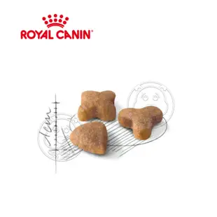 《ROYAL CANIN 法國皇家》FHN 腸胃敏感成貓S33 2kg 4kg 10kg 15kg【培菓寵物】