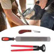 3Pcs Horse Hoof File Horse Hoof Rasp Professional for Horses, Cows, Sheep,