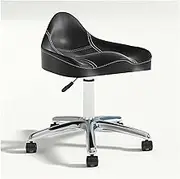 Saddle Stool w/Wheels Hydraulic Swivel Rolling Stool Chair Height Adjustable for Clinic Dentist Beauty Salon Tattoo Home Office