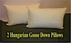 2 STANDARD SIZE PILLOWS FIRM - 95% HUNGARIAN GOOSE DOWN - EUROPEAN QUALITY