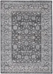 Crisp Dorian Grey Transitional Rug