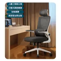 在飛比找momo購物網優惠-【瘋家居】3D護腰人體工學電腦椅 辦公椅 升降椅 電競椅(人