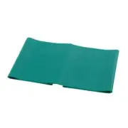 Fabrication Enterprises 10-5753 Cando Exercise Band 5 ft. Singles Green