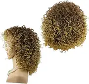 DRESSOOS African American Cosplay Wig Women's Daily Replacement Wigs Brown Curly Wig Handmade