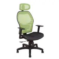 在飛比找momo購物網優惠-【DFhouse】辛蒂亞電腦辦公椅(綠色)