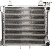 2 Rows Aluminum Radiator + Fan ，Compatible With Bombardier Can Am DS 650 DS650 DS650X Baja 2000-2007