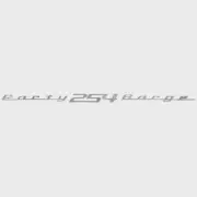 Tracker Boat Raised Brand Decal 171518 | Party Barge 254 Mirrored