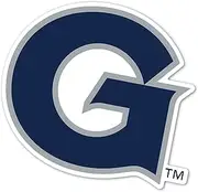 Desert Cactus Georgetown University Sticker Hoyas GU Vinyl Decal Laptop Water Bottle Car Scrapbook (IND A)