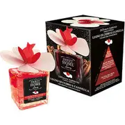 Sweet Home Collection Luxury diffuser in cedar and cinnamon wood - aroma - 150 ml