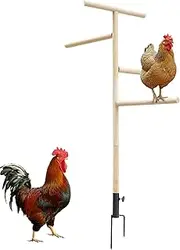 Chicken Standing Perch - Large Outdoor Stand Toy Perch for Chicken - Playground Chicken Enrichment Toys Ground Plug-in Perch for Hens, Parrots, Cockatiels