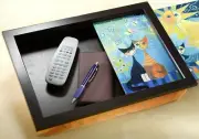 Rosina Wachtmeister WENKO Tray/Pillow - Knietabeltt 40 x 30 x 9 Cm. New Product