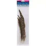 Darice Pheasant Feathers Ringneck Tail 8 to 12 Inches