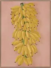 Platano I Pink Canvas Art Print
