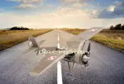 PZL P-11-C 53" WS Polish Fighter RC Airplane Kit Laser Cut Balsa & Ply Short Kit