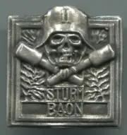 ww1 STURM BAON 11 badge