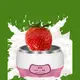 【好康家居】寵物喝水 家用迷你全自動優格機 酸奶機 恆溫發酵 自製優格 (6.2折)