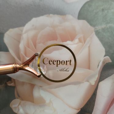 Ceeport 零极限- 自从开始和莫娜女士进行清理之后，我过上了宛如躺在沙发上睡觉般的生活。... | Facebook