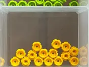 LEGO Parts - Bright Light Orange Plate Round 1 x 1 w Flower - No 24866 - QTY 15