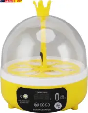 4 Eggs Chicken Egg Incubator,360° View Poultry Incubator,Automatic Temperature H