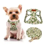 CHEDE No Pull Floral Pattern Dog Harness- Lightweight and Soft XS Green Daisy