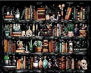 Paint by Number for Adults. Bookcase Paint by Numbers for Adults Beginner Drawing Paintwork with 3 Paintbrushes Paint Canvas Oil Painting 16” x 20”
