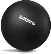 Yoga Ball Exercise Ball for Working Out, Anti-Burst and Slip Resistant Stability