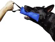 Dingo Gear Nylcot Bite Tug for The Dog Training K9 IGP IPO Schutzhund Blind Search Prey Drive Fetch Reward, Handmade of French Material, 1 Handle, Blue S00061