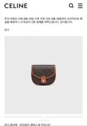 Celine Mini Vesache Triophe Triomphe canvas calfskin