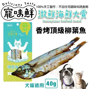 寵味鮮 激鮮海鮮大賞40g-80g 香烤頂級魚排｜護膚鮪魚堡｜低脂旗魚堡｜ 香烤頂級柳葉魚 犬貓零食『WANG』