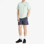 Patagonia Baggies Lights 6" Shorts