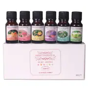Kit of Oils for Diffuser Humidifier - 6 or 12 Fragrances or Carry Box