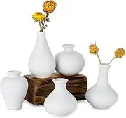 5 Small Flower Ceramic Vases, Set of 5 Cute White Vases for Home Decor,Modern Farmhouse Round Vase,Decorative Vase for Pampas Grass Dried Flowers, Room Décor, Bookshelf, Table Decor