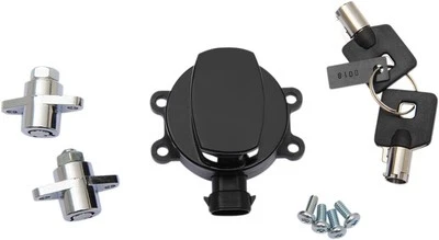 DS Side Hinge Ignition Switch with Saddlebag Locks Gloss Black #2853945