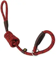 DS. DISTINCTIVE STYLE Dog Training Leash 6 Feet Rope Dog Leash Dog Slip Lead Dog Training Lead - Red