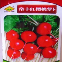 在飛比找蝦皮購物優惠-蔬菜類種子常豐水果紅櫻桃蘿蔔種子陽臺菜園白蘿蔔四季紅蘿蔔【惠
