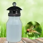 trap fruit stalls melon fruit insects fruit fly bee armyworm attract trap ag- _j