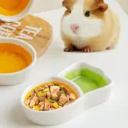 Hamster Food Bowl Creative Ceramic Feeding Bowl for Chipmunk Ferret Supplies