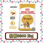 ROYAL CANIN 法國皇家 BG40豹貓專用飼料--2公斤