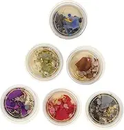 PLAFOPE 1 Set Creative Nail Decoration Color Shell for Stunning Nail Art for DIY Manicure for