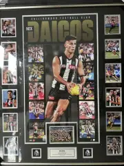 Nick Daicos/ Collingwood Memorabilia