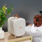 Mini Skin Care Fridge, 4 L/6 Can Cute Makeup Fridge for Cosmetics Beverage Fruit