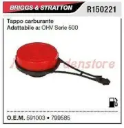 Top Fuel B&S Lawn Mower Lawnmower OHV Series 500 R150221