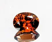 4.85ct Garnet Grossular Andradite Oval AAA+ Rare Collector's Unheated Namibia