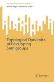 Topological Dynamics of Enveloping Semigroups (SpringerBriefs in Mathematics)