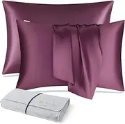 DISANGNI 100% Natural Mulberry Silk Pillow case for Hair and Skin with Hidden Zipper 22 Momme Both Sides Real Silk Pillow Case (2pc Standard Size 20" x26", Purple)