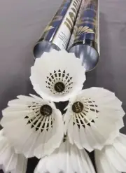 Linton Gold Badminton Shuttlecock