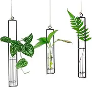 Ivolador 3 Pack Different Length Test Tube Hanging Glass Plant Terrarium Bud Propagation Station Container for Home Decoration Green Plants Wedding